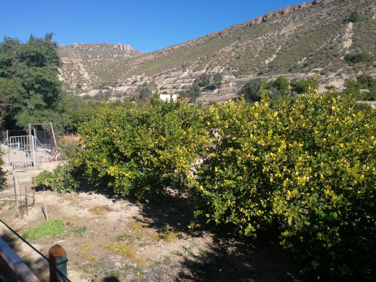 08-02-2019_IMG-20190208-WA0012 - copia.jpg